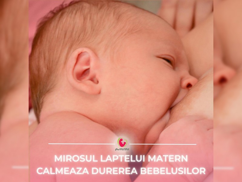 Breastfeeding consultation with Sorana Muresan, online or in Bucharest