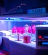 Fii vedeta evenimentului tau - Inchiriaza o limuzina premium, in Bucuresti