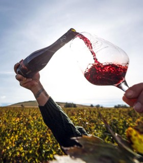 Wine tasting at Histria Wine Cellar in Constanta