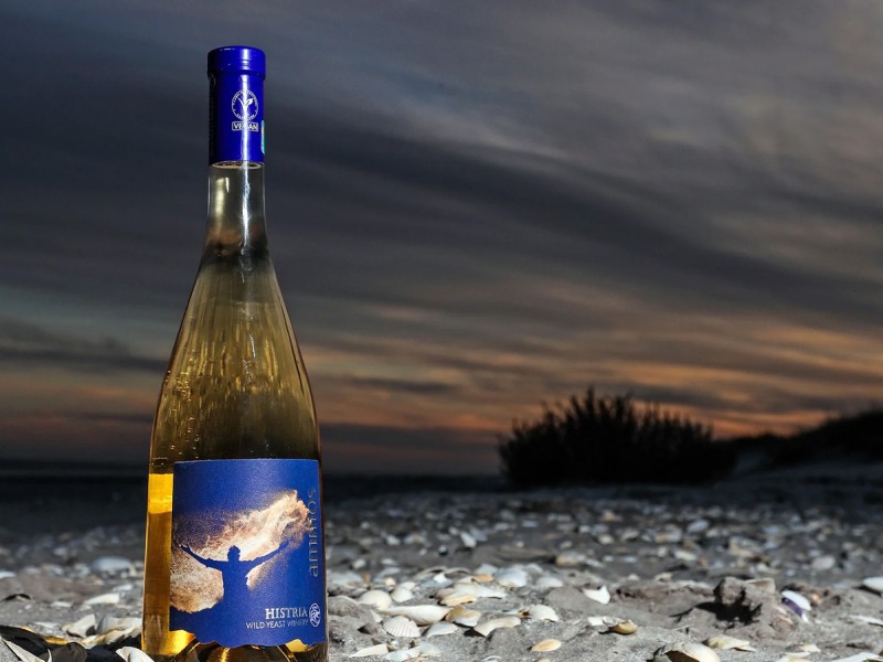 Degustare de vin la Crama Histria, in Constanta