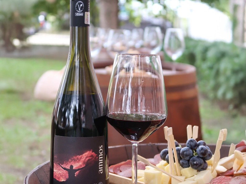 Degustare de vin la Crama Histria, in Constanta