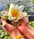 Ateliere relaxante de Ayur Yoga & Mindfullness