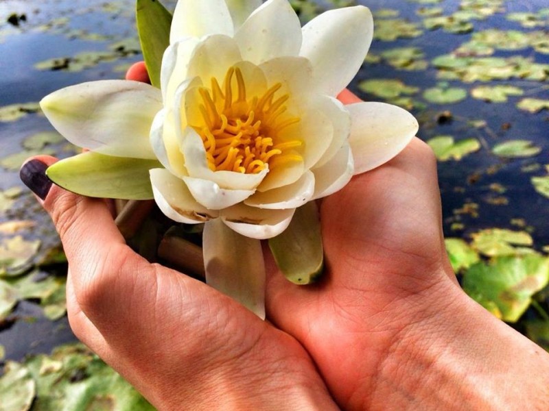 Ateliere relaxante de Ayur Yoga & Mindfullness
