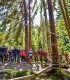 Competitie sportiva ARKA PARK ADVENTURE RACE, in Sibiu