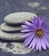 Ateliere relaxante de Ayur Yoga & Mindfullness