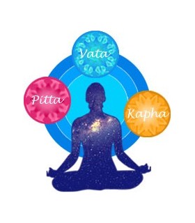 Experience the AyurYoga & Mindfullness workshops