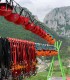 Corporate adventure at Tiroliana in Cheile Turzii