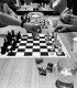 The training routine of a semi-professional chess player, in Bucharest