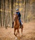 Riding lessons for children and adults in Izvorani