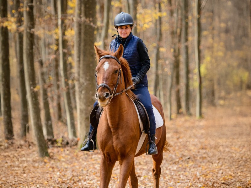Riding lessons for children and adults in Izvorani