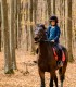 Riding lessons for children and adults in Izvorani
