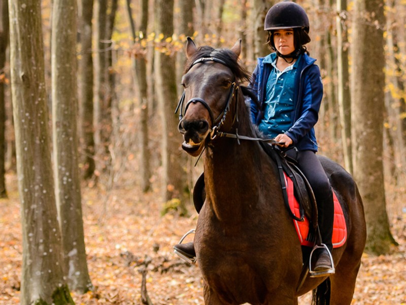 Riding lessons for children and adults in Izvorani