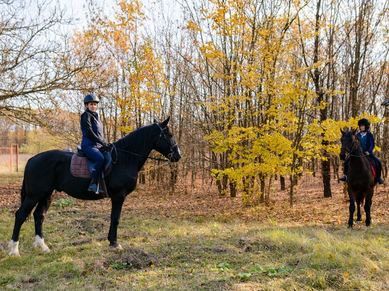 Riding lessons for children and adults in Izvorani