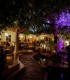 Rasfat culinar intr-un restaurant exclusivist, in Timisoara