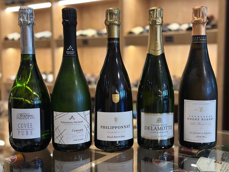 Journey into the World of Wine with Emil Popescu - Fine Wine Tasting
