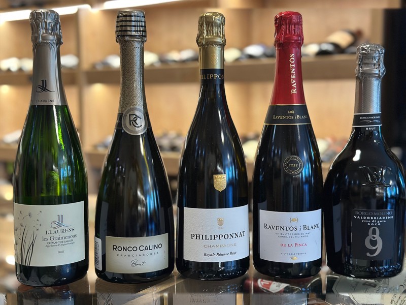 Journey into the World of Wine with Emil Popescu - Fine Wine Tasting