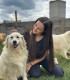 60 de minute de joaca, alaturi de catei din rasa Golden Retriever, langa Bucuresti