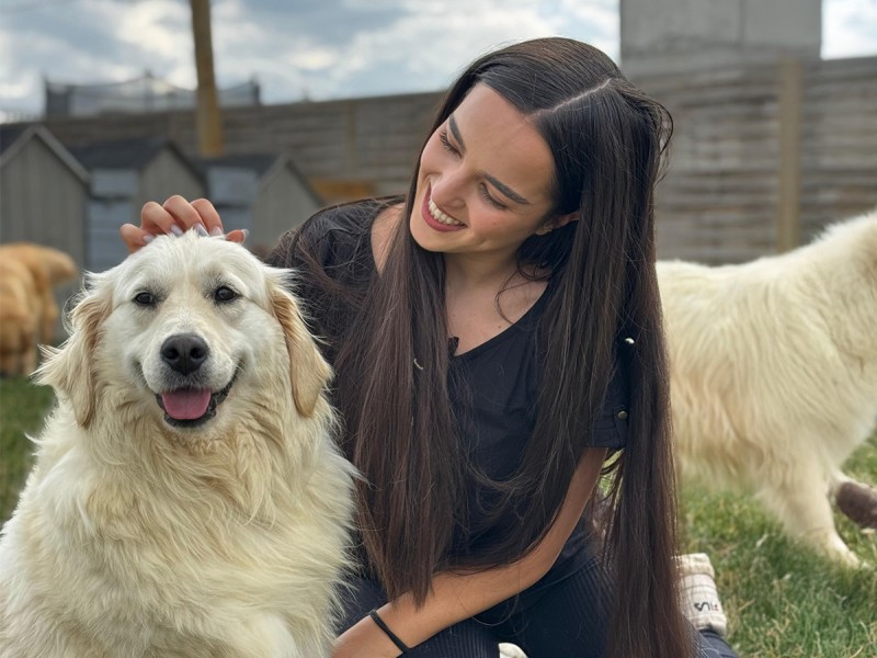 60 de minute de joaca, alaturi de catei din rasa Golden Retriever, langa Bucuresti
