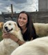 60 de minute de joaca, alaturi de catei din rasa Golden Retriever, langa Bucuresti