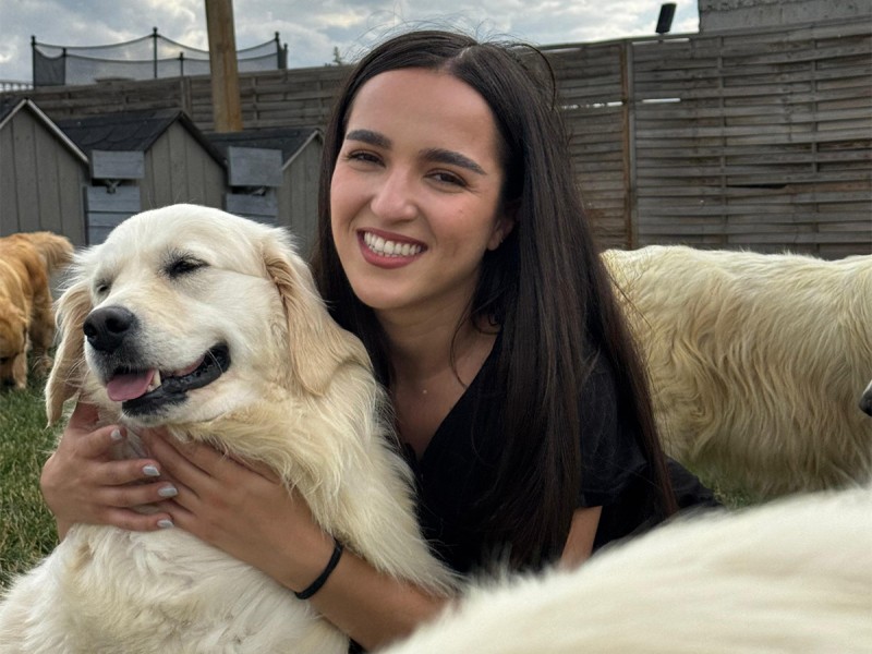 60 de minute de joaca, alaturi de catei din rasa Golden Retriever, langa Bucuresti
