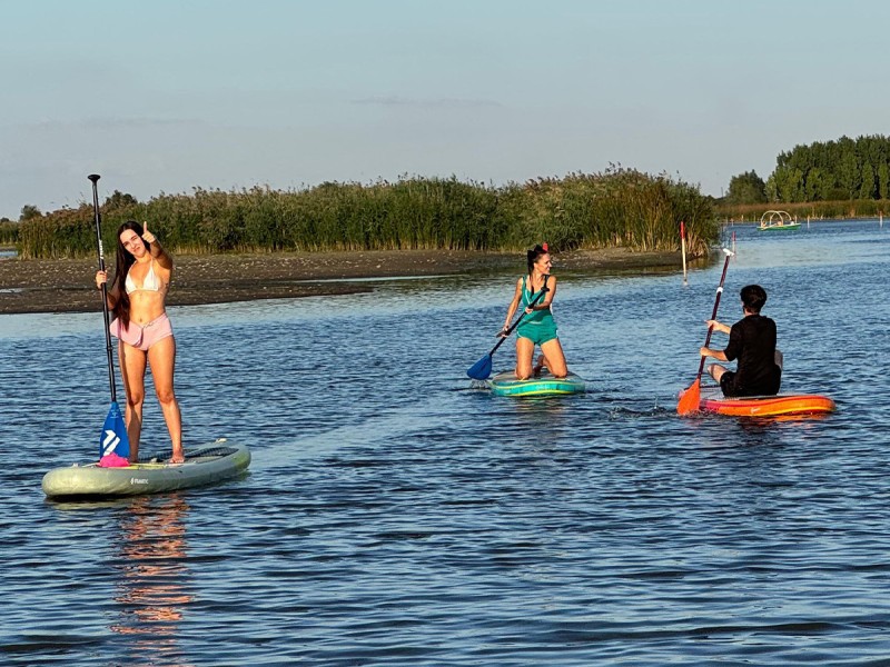 Stand up paddle - vasleste pe placa de surf in delta Neajlovului