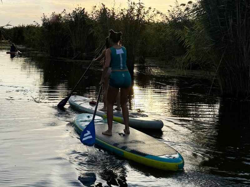 Stand up paddle - vasleste pe placa de surf in delta Neajlovului