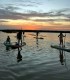 Stand up paddle - vasleste pe placa de surf in delta Neajlovului