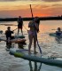 Stand up paddle - vasleste pe placa de surf in delta Neajlovului