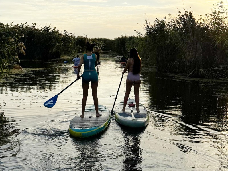 Stand up paddle - vasleste pe placa de surf in delta Neajlovului