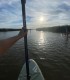 Stand up paddle - vasleste pe placa de surf in delta Neajlovului