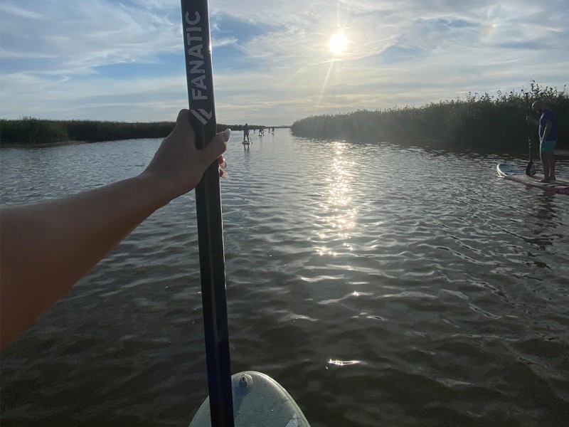 Stand up paddle - vasleste pe placa de surf in delta Neajlovului