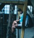 Discover freedom in motion with indoor and outdoor parkour in Bucharest