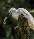 Discover the beauty of the Danube Delta with your family