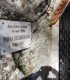 Pe urmele Reginei Maria la Bran, Drumetii, cazare si 3 mese, de vineri pana duminica