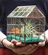 Enjoy a terrarium kit with plants together with your loved ones