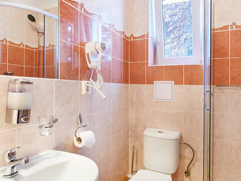3 zile in Praga, pentru 2 persoane, cu mic dejun sau demipensiune, parcare auto Hotel Marie Luisa