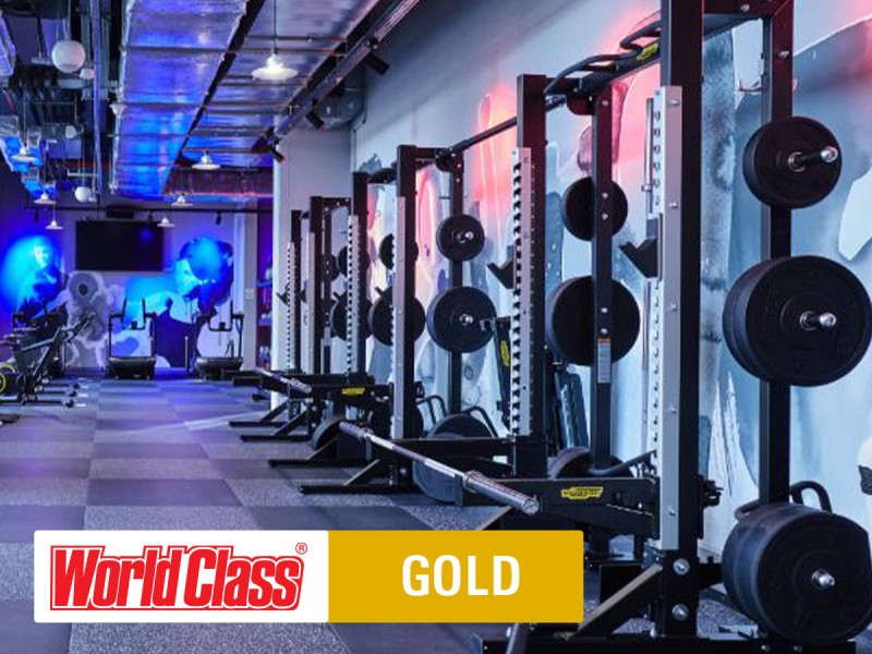 Abonament World Class Gold pentru 12 luni