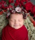 Artistic photo shoot for newborns
