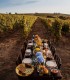 Group wine tasting, where the warm atmosphere and good friends make each glass more delicious, in Prahova