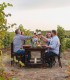 Picnic in the vineyard, ideal for groups looking for an authentic and relaxing experience in nature, in Prahova