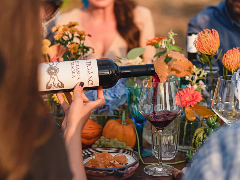 Embark on a journey through the world of wine and discover how each glass is created, in Prahova