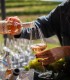 Embark on a journey through the world of wine and discover how each glass is created, in Prahova