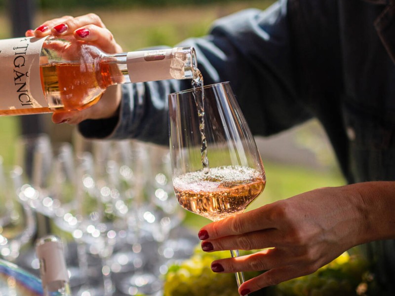Embark on a journey through the world of wine and discover how each glass is created, in Prahova