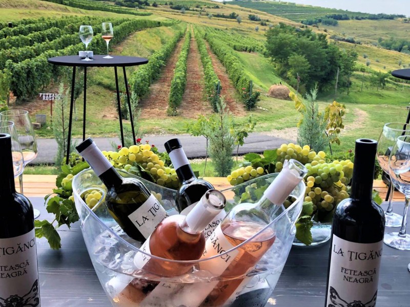 Embark on a journey through the world of wine and discover how each glass is created, in Prahova