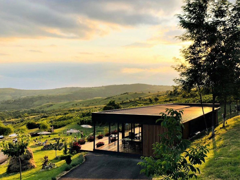 Embark on a journey through the world of wine and discover how each glass is created, in Prahova