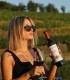 Embark on a journey through the world of wine and discover how each glass is created, in Prahova