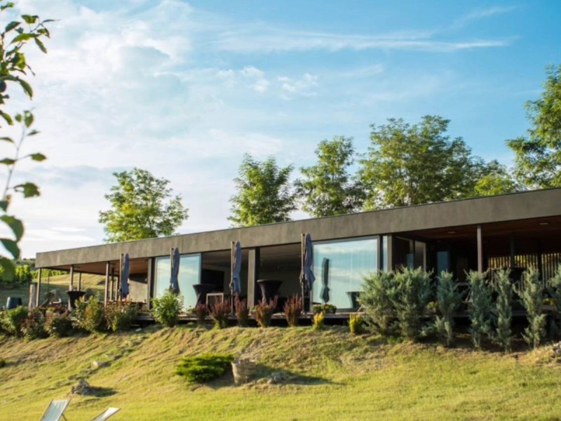 Embark on a journey through the world of wine and discover how each glass is created, in Prahova
