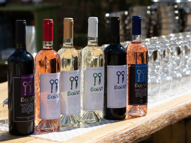 Pamper your senses - 2 nights' accommodation with wine tasting at the winery in Prahova
