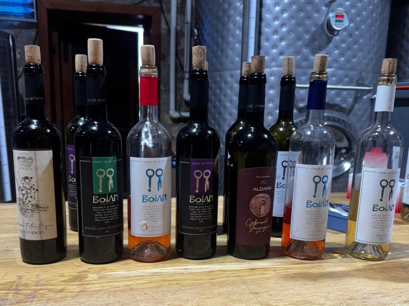 Pamper your senses - 2 nights' accommodation with wine tasting at the winery in Prahova