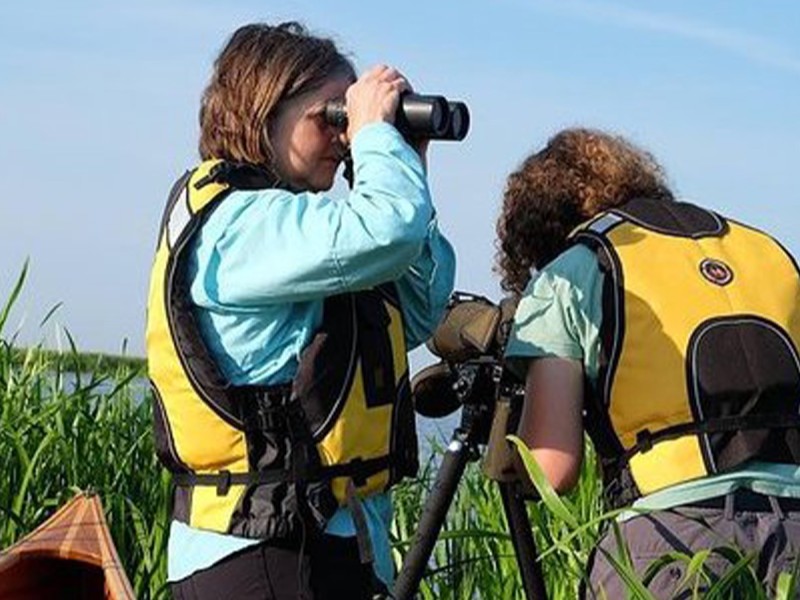 Set off on the water and observe the birds up close, directly from your canoe, in Eforie Nord